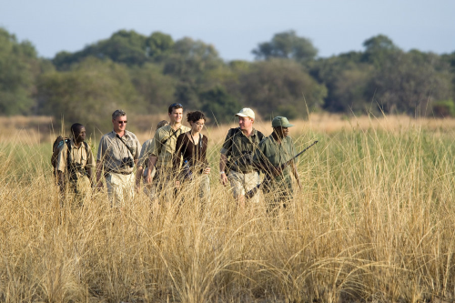 zambia 001